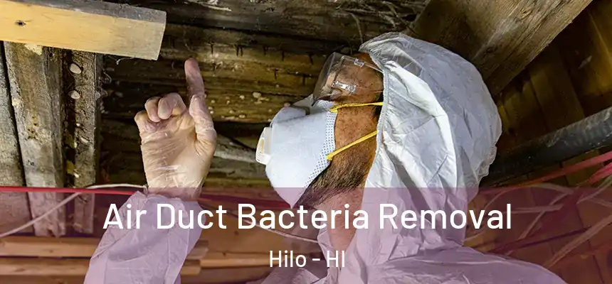  Air Duct Bacteria Removal Hilo - HI