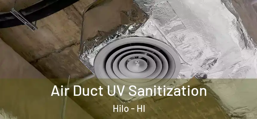 Air Duct UV Sanitization Hilo - HI