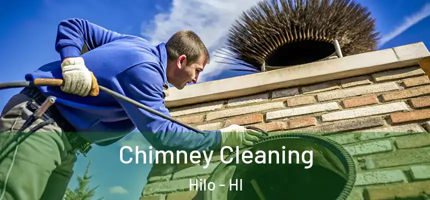 Chimney Cleaning Hilo - HI