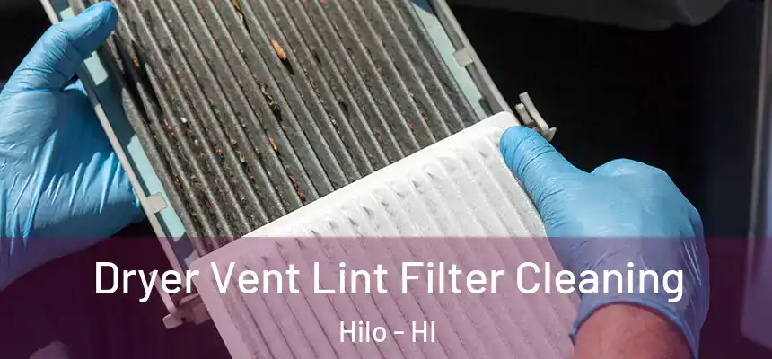 Dryer Vent Lint Filter Cleaning Hilo - HI