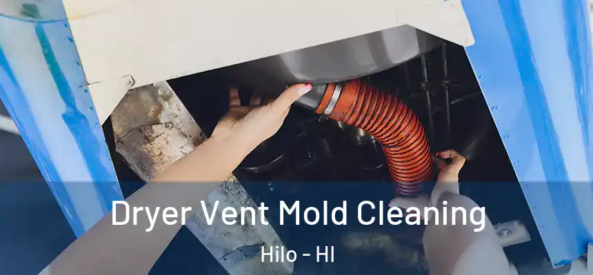  Dryer Vent Mold Cleaning Hilo - HI