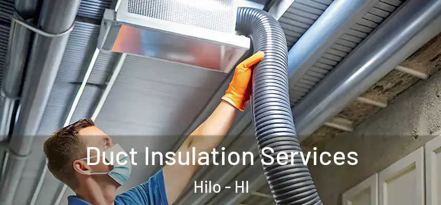 Duct Insulation Services Hilo - HI