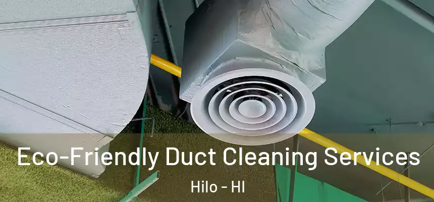  Eco-Friendly Duct Cleaning Services Hilo - HI
