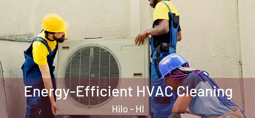 Energy-Efficient HVAC Cleaning Hilo - HI
