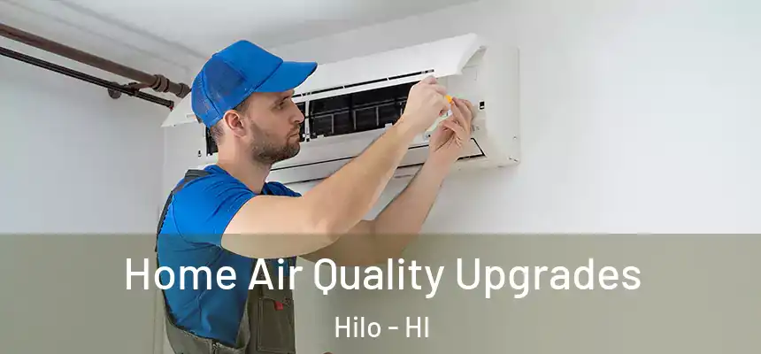Home Air Quality Upgrades Hilo - HI