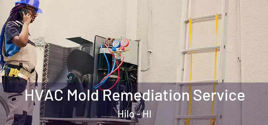  HVAC Mold Remediation Service Hilo - HI