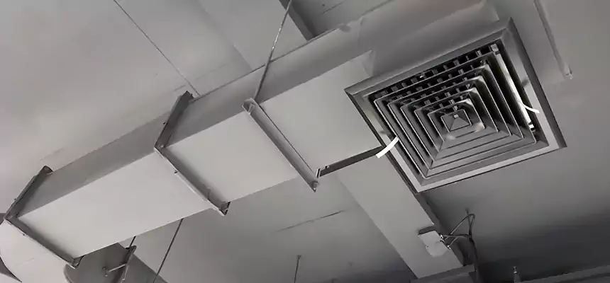 Restorative Allergy Relief Vent Cleaning – Coil, Blower & Housing Detail in Hilo