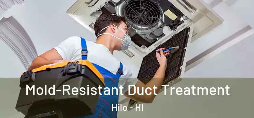 Mold-Resistant Duct Treatment Hilo - HI