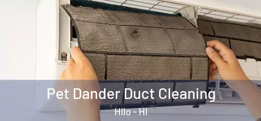 Pet Dander Duct Cleaning Hilo - HI