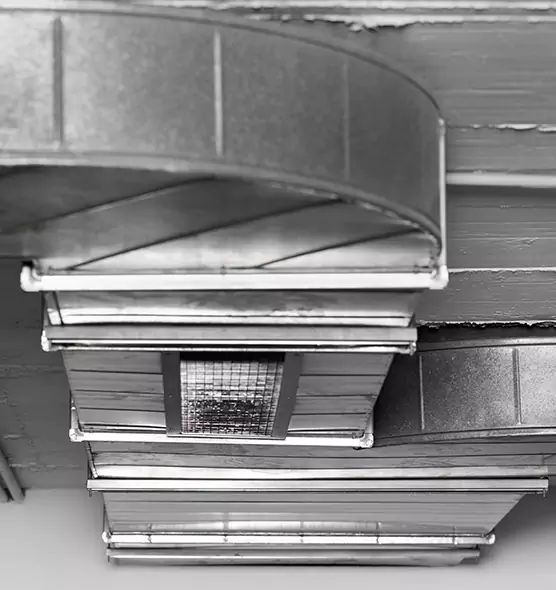 Professional Air Duct Pest Removal in Hilo, HI