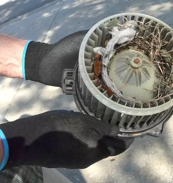 About Air Duct Rat Removal in Hilo, HI