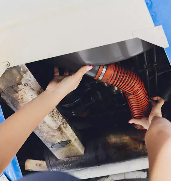 About Air Duct Virus Disinfection in Hilo, HI