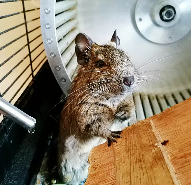 Why Homeowners & Businesses Trust Us Hilo, HI