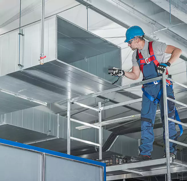 Why Homeowners & Businesses Trust Us in Hilo, HI?