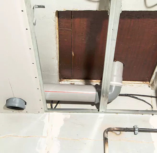 Why Homeowners & Businesses Trust Us in Hilo, HI?