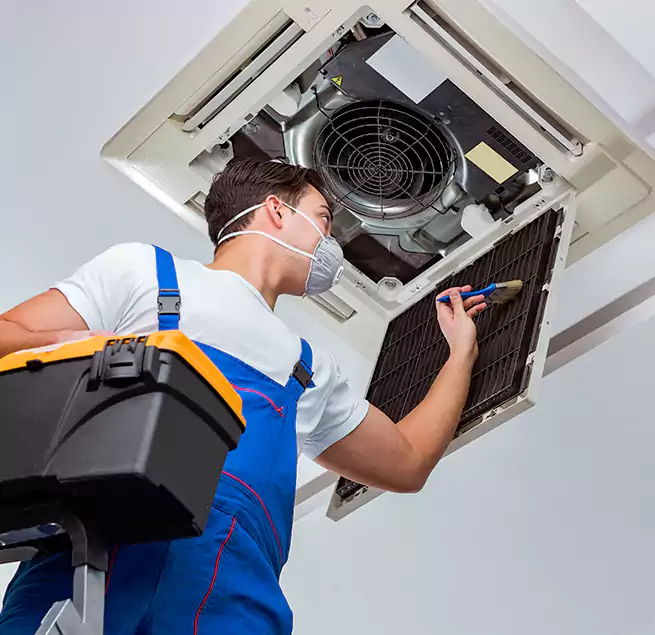 Why Homeowners & Businesses Trust Us in Hilo, HI