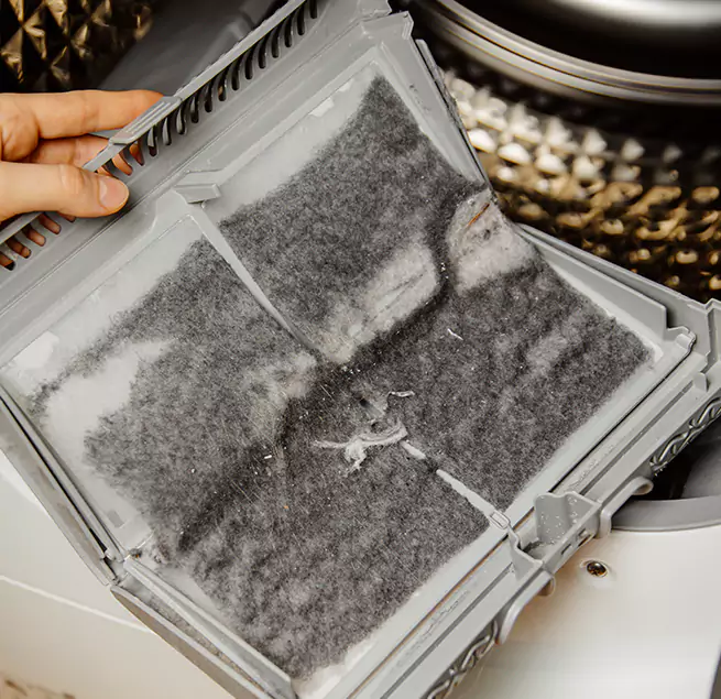 Why Homeowners & Businesses Trust Us Hilo, HI?