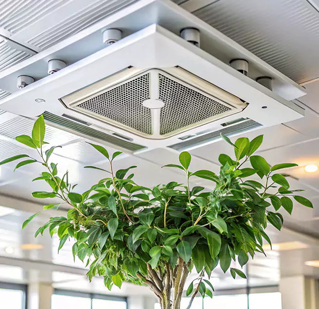 Why Homeowners & Businesses Trust Us in Hilo, HI