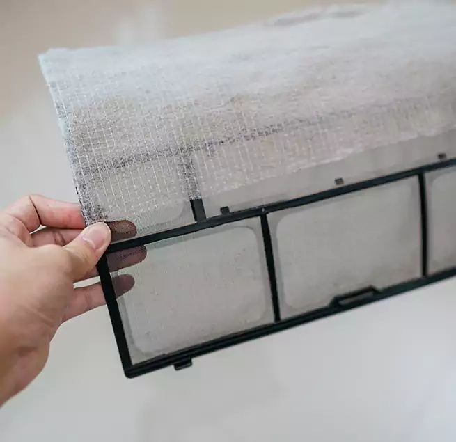 Why Homeowners & Businesses Trust Us in Hilo, HI?