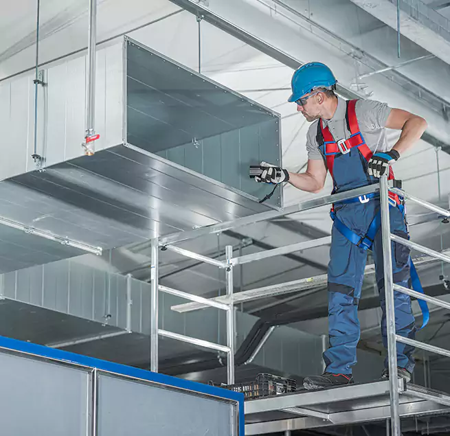 Why Homeowners Businesses Trust Us in Hilo, HI