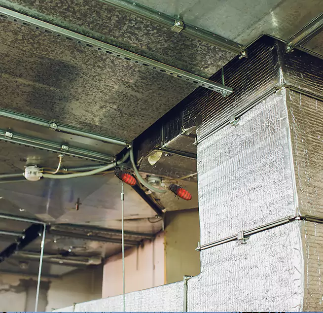 Why Homeowners & Businesses Trust Us Hilo, HI?