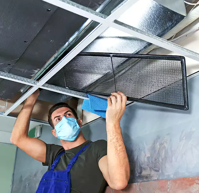 Why Homeowners Businesses Trust Us in Hilo, HI