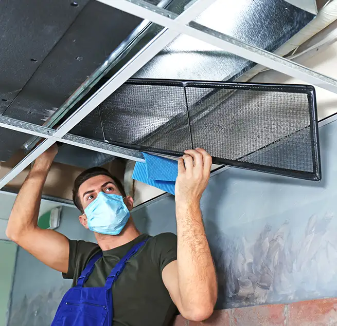 Why Homeowners & Businesses Trust Us in Hilo, HI?